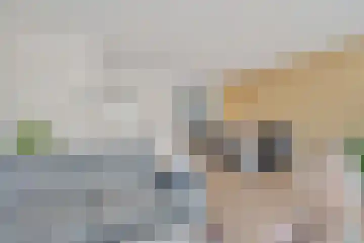 Reigersblauw 42 Zoetermeer thumbnail 15