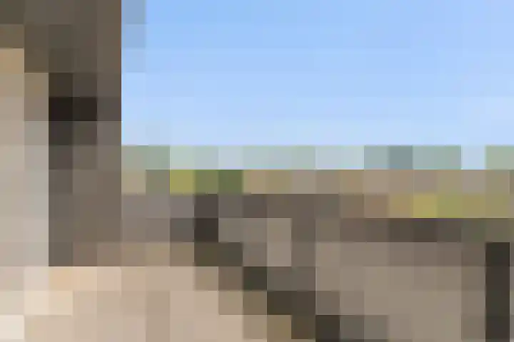 Reigersblauw 42 Zoetermeer thumbnail 42