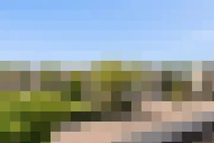 Reigersblauw 42 Zoetermeer thumbnail 43