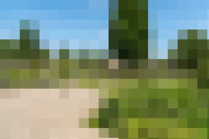 Reigersblauw 42 Zoetermeer thumbnail 48