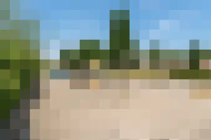 Reigersblauw 42 Zoetermeer thumbnail 49