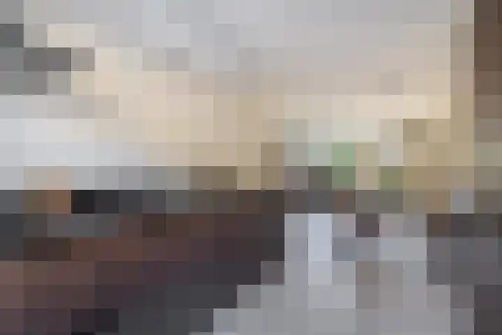 Reigersblauw 7 Zoetermeer thumbnail 14