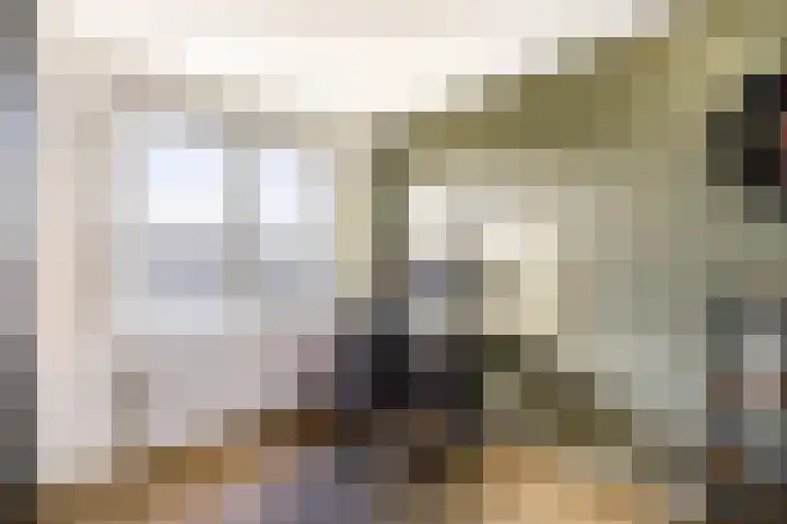 Reigersblauw 7 Zoetermeer thumbnail 38