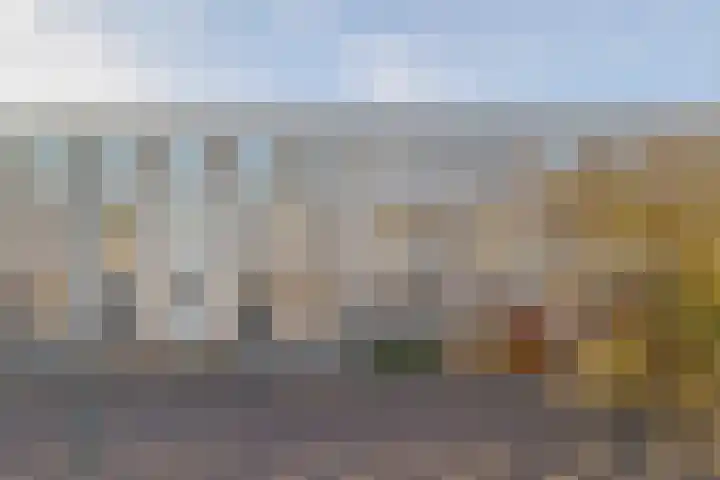 Reigersblauw 7 Zoetermeer thumbnail 4