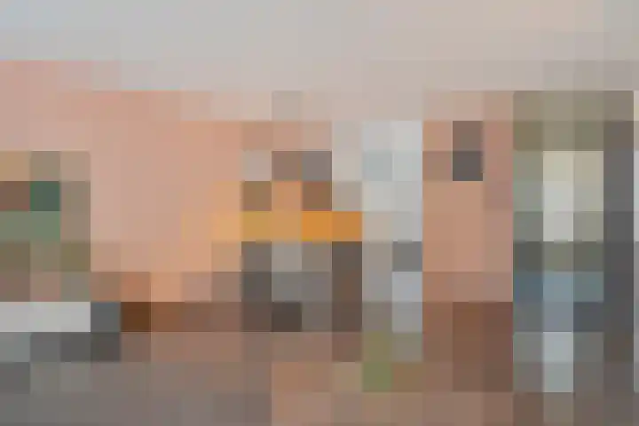 Reigersblauw 8 Zoetermeer thumbnail 23