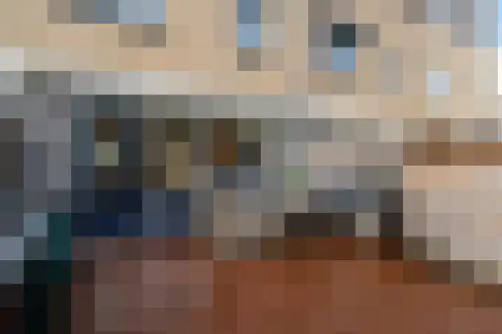 Reigersblauw 8 Zoetermeer thumbnail 32