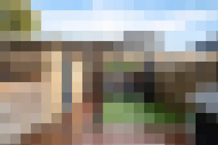 Reigersblauw 8 Zoetermeer thumbnail 34