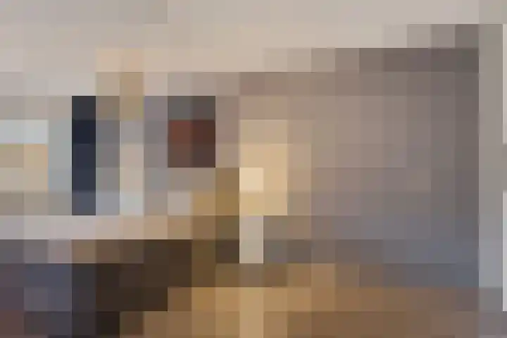 Reigersblauw 8 Zoetermeer thumbnail 38