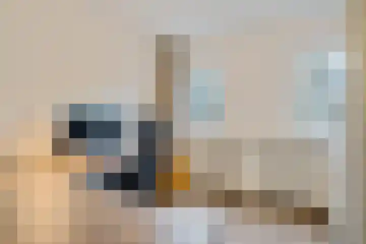 Reigersblauw 8 Zoetermeer thumbnail 48