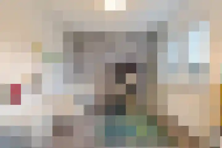 Reigersblauw 8 Zoetermeer thumbnail 58