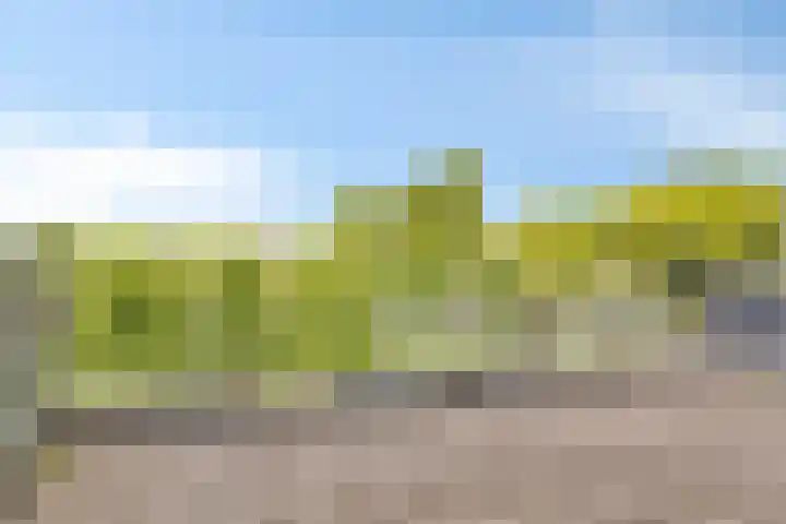 Reigersbos 146 Amsterdam thumbnail 15