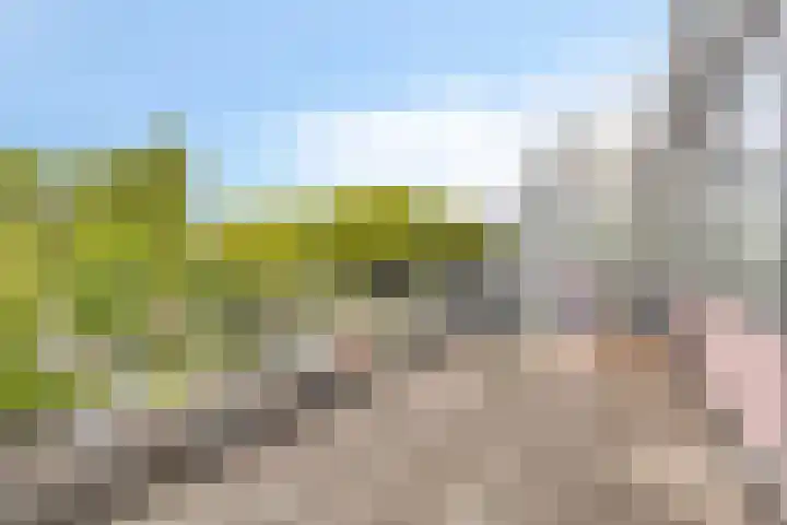 Reigersbos 146 Amsterdam thumbnail 16