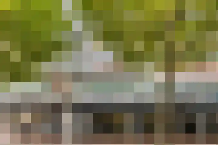 Reigersbos 146 Amsterdam thumbnail 23
