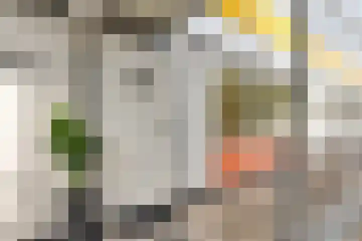 Reigersbos 146 Amsterdam thumbnail 29