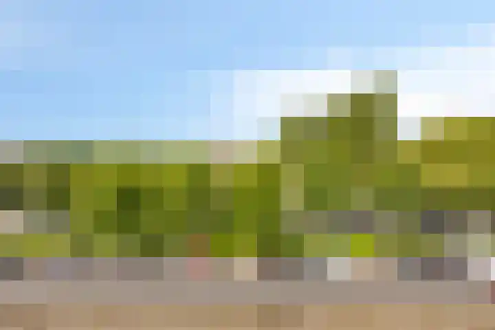 Reigersbos 146 Amsterdam thumbnail 30