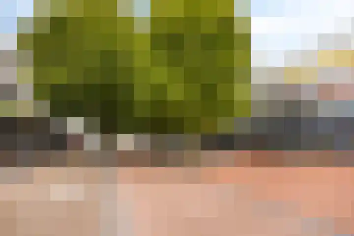 Reigersbos 146 Amsterdam thumbnail 32
