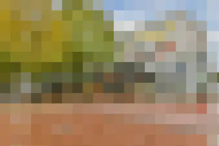 Reigersbos 148 Amsterdam thumbnail 18