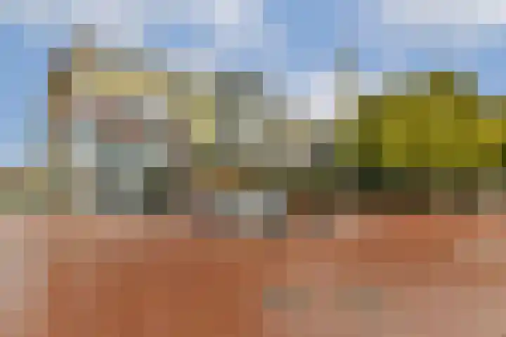 Reigersbos 148 Amsterdam thumbnail 19