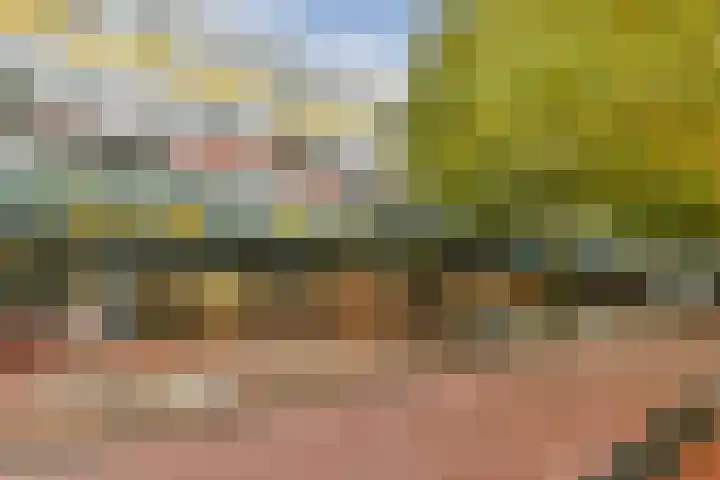 Reigersbos 148 Amsterdam thumbnail 20