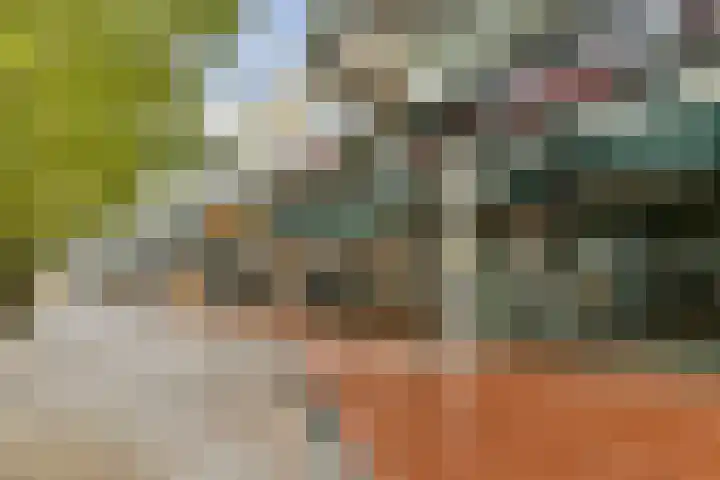 Reigersbos 148 Amsterdam thumbnail 21