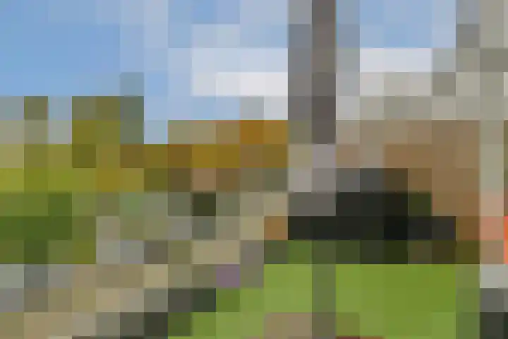 Reigersbos 148 Amsterdam thumbnail 4