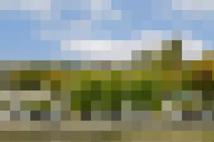 Reigersbos 148 Amsterdam thumbnail 5