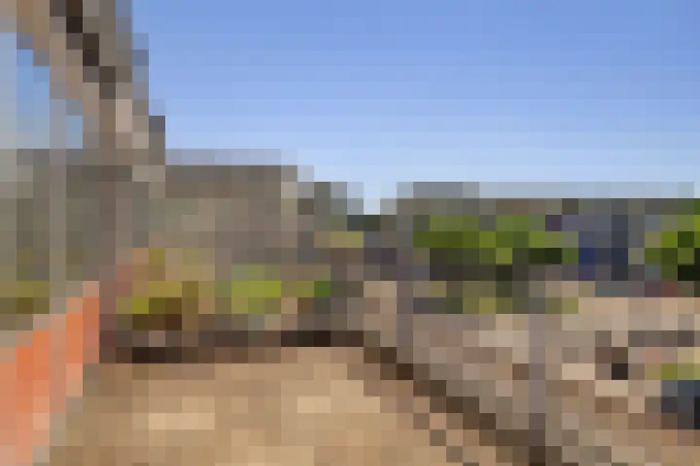 Reigersbos 150 Amsterdam thumbnail 20