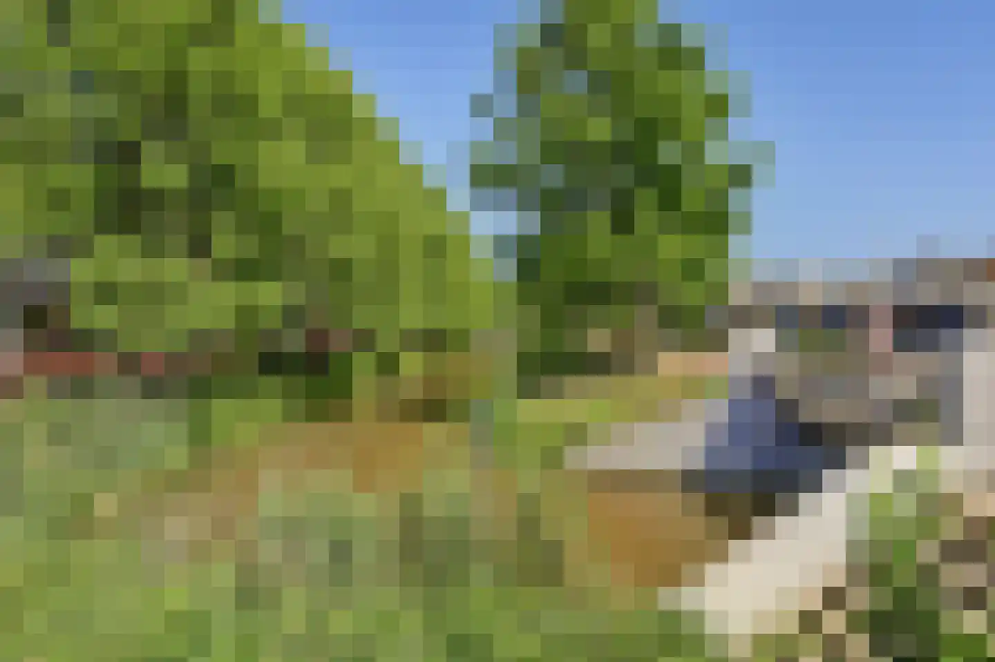 Reigersbos 150 Amsterdam thumbnail 27