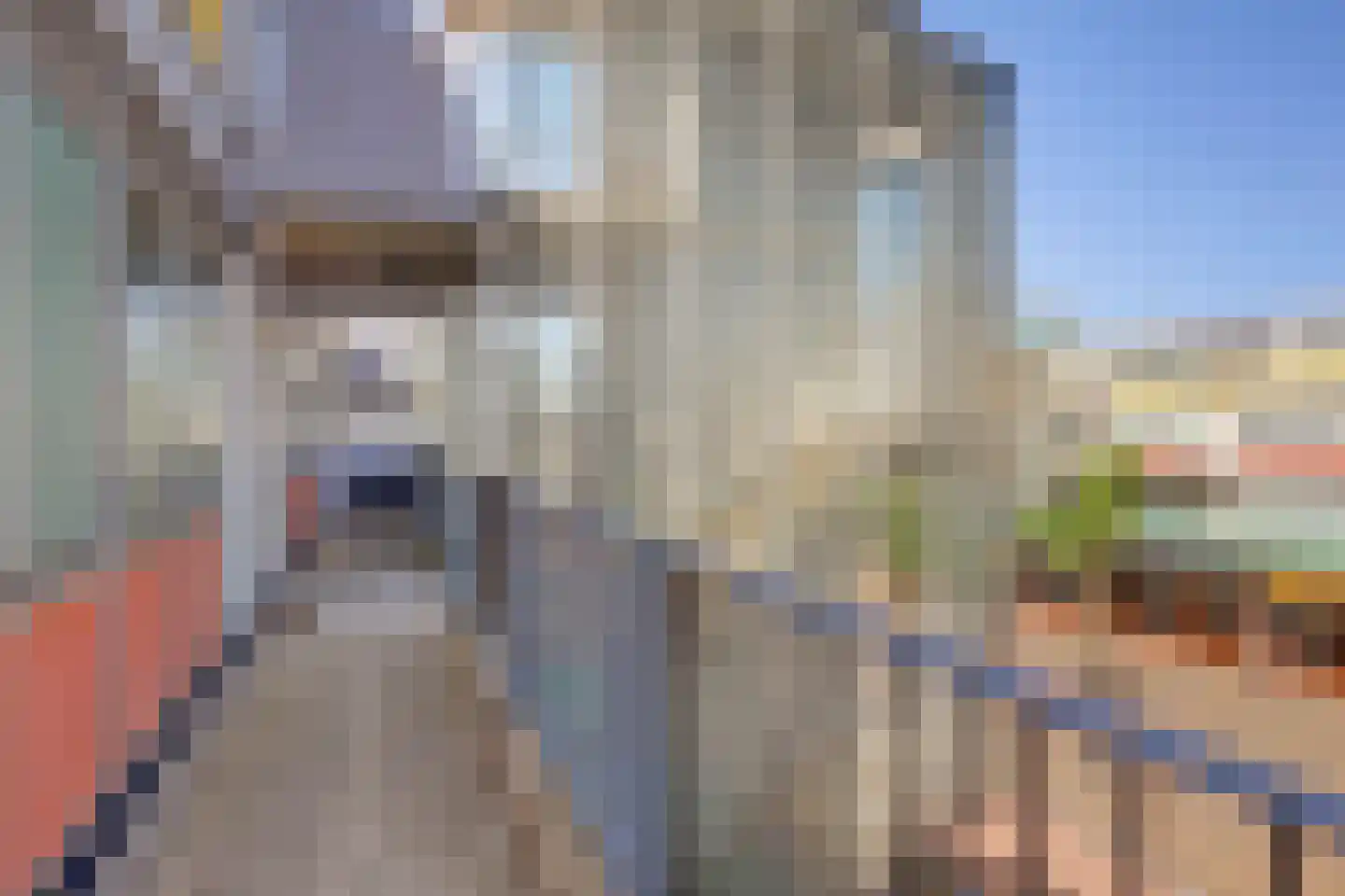 Reigersbos 150 Amsterdam thumbnail 4