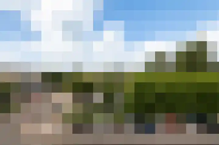 Reigersbos 170 Amsterdam thumbnail 15