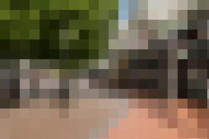 Reigersbos 170 Amsterdam thumbnail 16