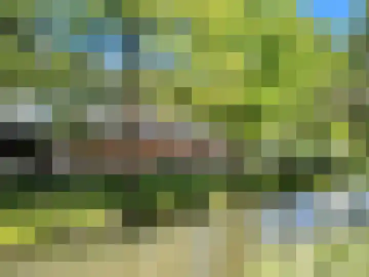 Reigersbos 217 Amsterdam thumbnail 20