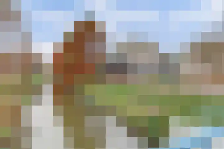 Reigersbos 233 Amsterdam thumbnail 27