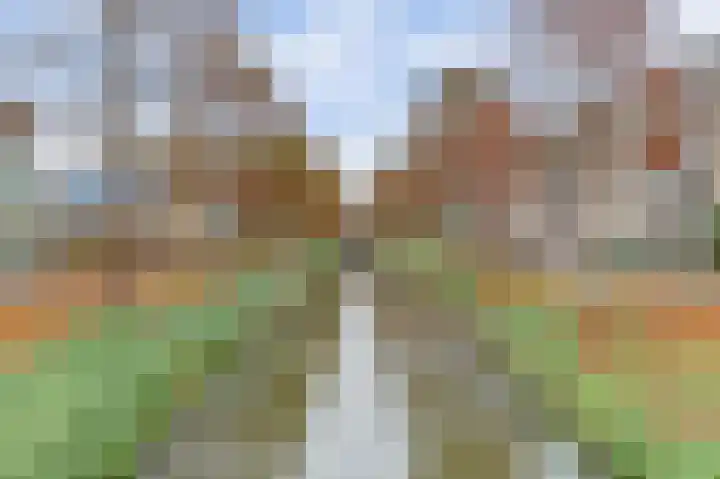 Reigersbos 233 Amsterdam thumbnail 28