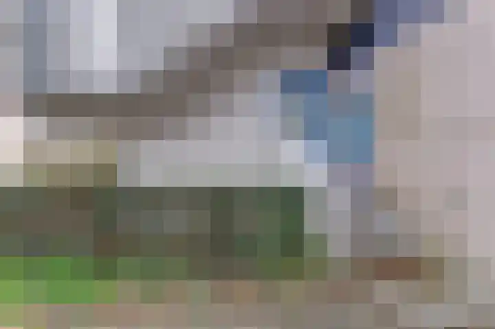 Reigersbos 233 Amsterdam thumbnail 5