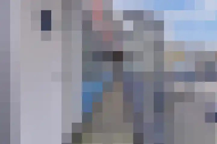 Reigersbos 233 Amsterdam thumbnail 7