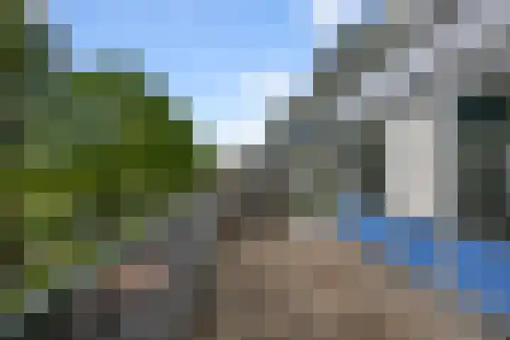 Reigersbos 237 Amsterdam thumbnail 18