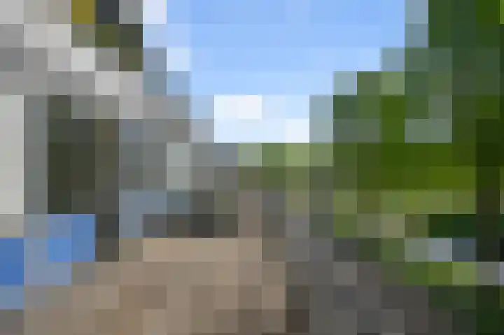 Reigersbos 237 Amsterdam thumbnail 25