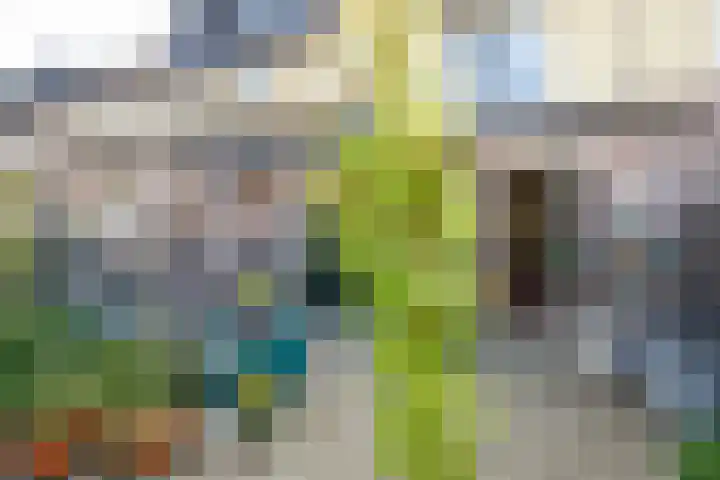 Reigersbosch 9 Middenbeemster thumbnail 42