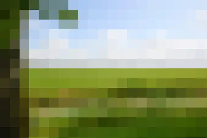 Reigersbosch 9 Middenbeemster thumbnail 47