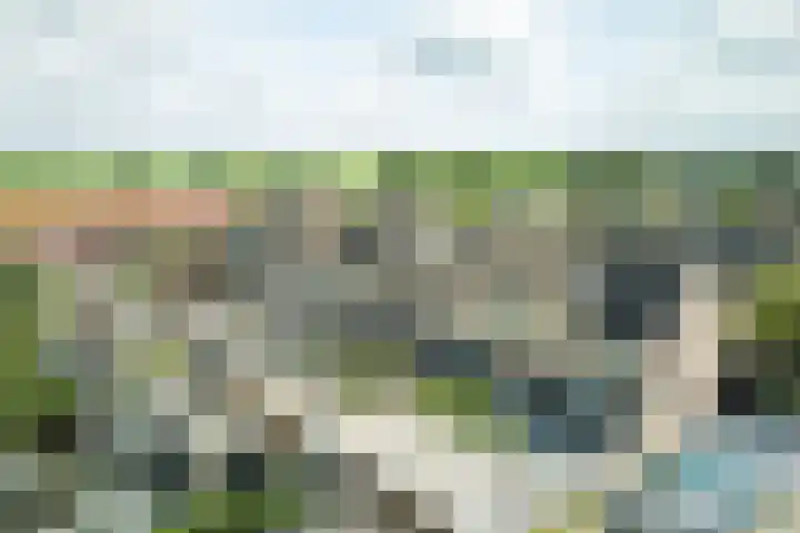 Reigersbosch 9 Middenbeemster thumbnail 5