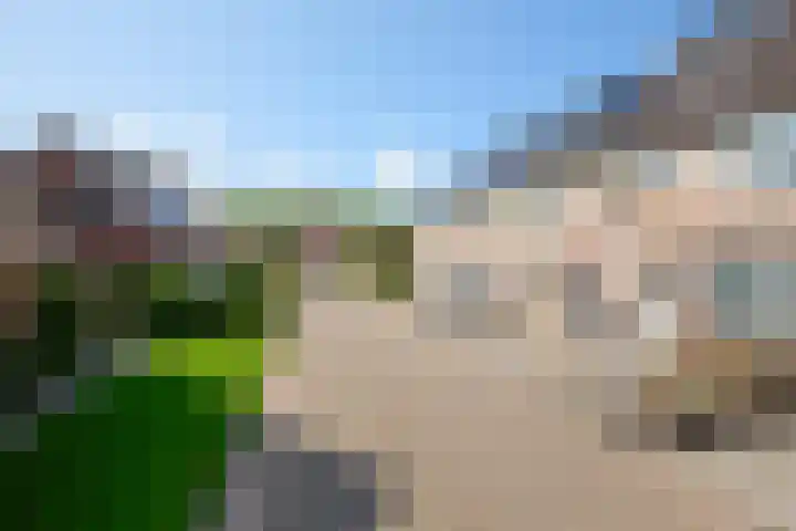Reigersbosch 9 Middenbeemster thumbnail 7