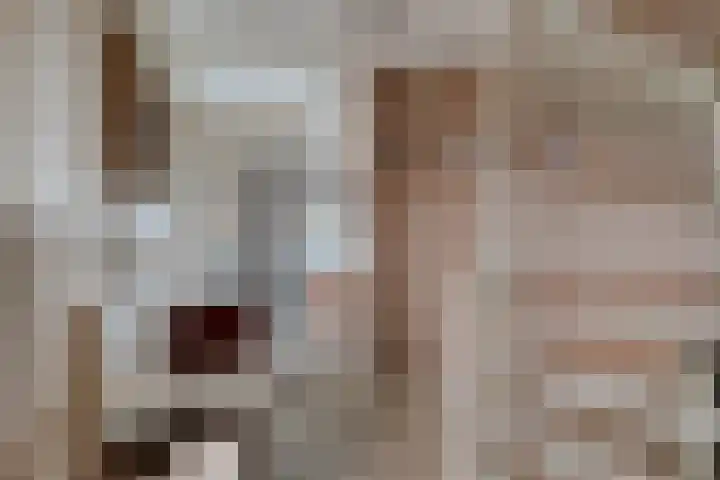 Reigersdreef 24 Streefkerk thumbnail 16
