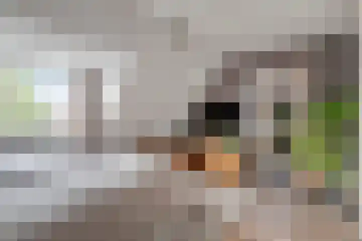 Reigersdreef 24 Streefkerk thumbnail 19