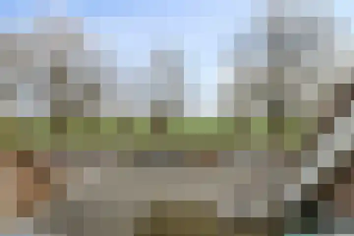 Reigersdreef 24 Streefkerk thumbnail 26