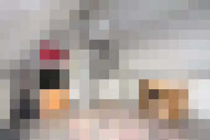 Reigersdreef 24 Streefkerk thumbnail 32