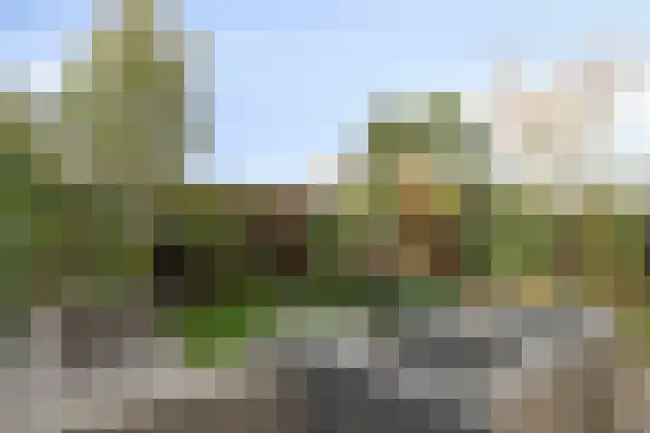 Reigersdreef 24 Streefkerk thumbnail 33
