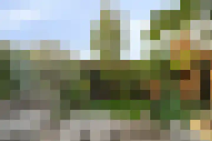 Reigersdreef 24 Streefkerk thumbnail 34