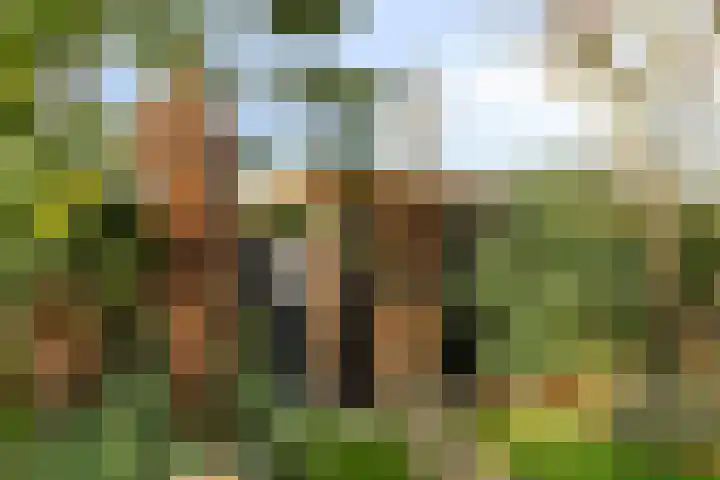 Reigersdreef 24 Streefkerk thumbnail 35