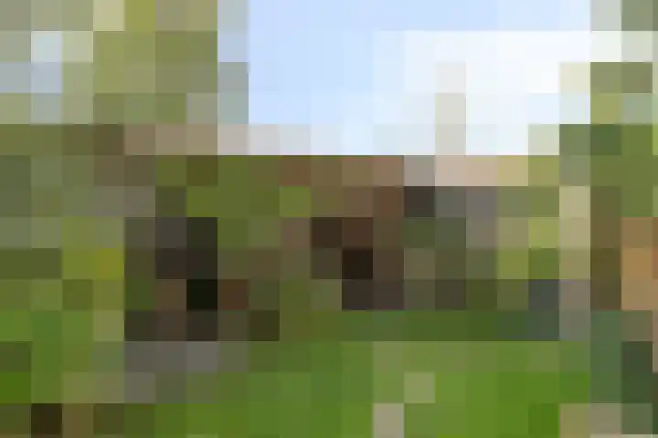 Reigersdreef 24 Streefkerk thumbnail 36